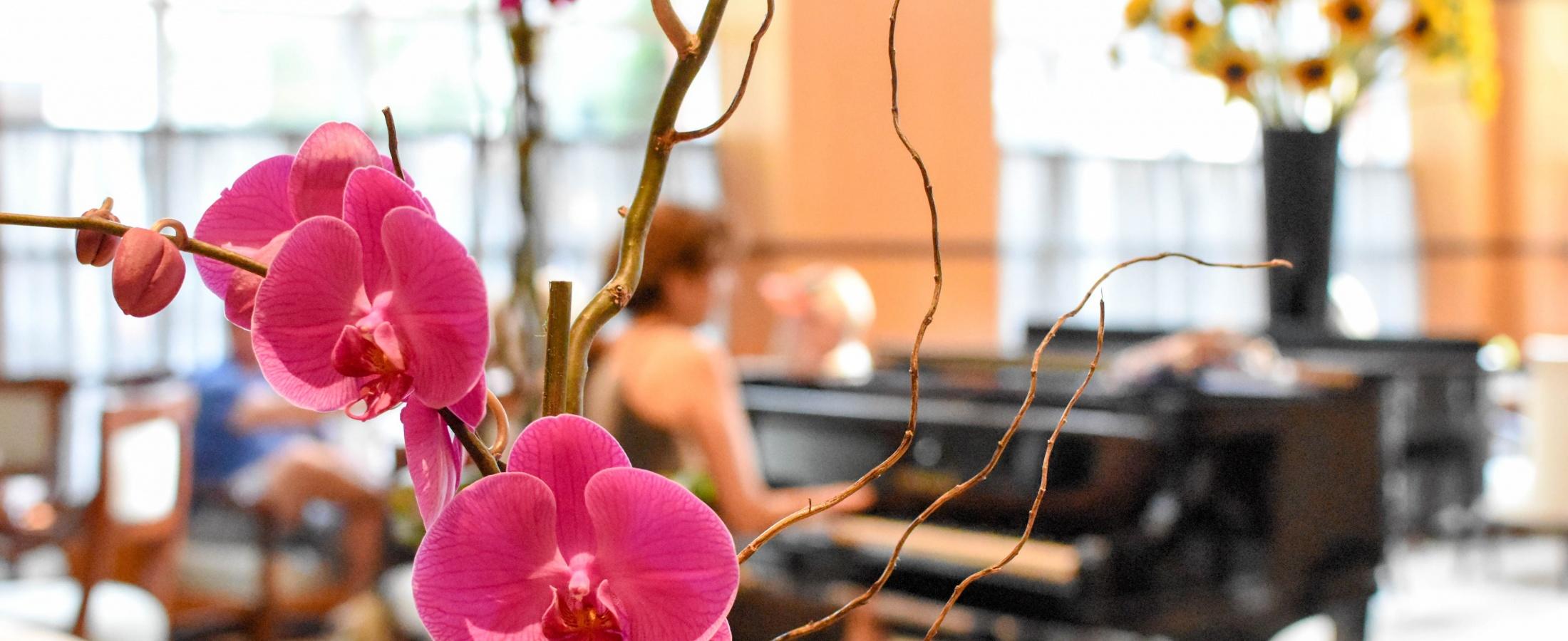 Purple orchid in front of a woman playing the piano in the grand lobby