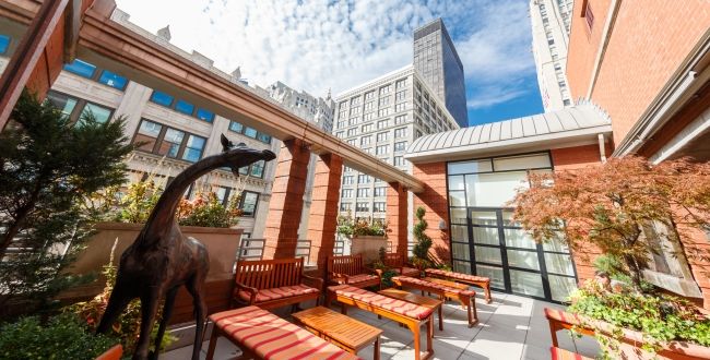 Rooftop Garden at Hotel Giraffe